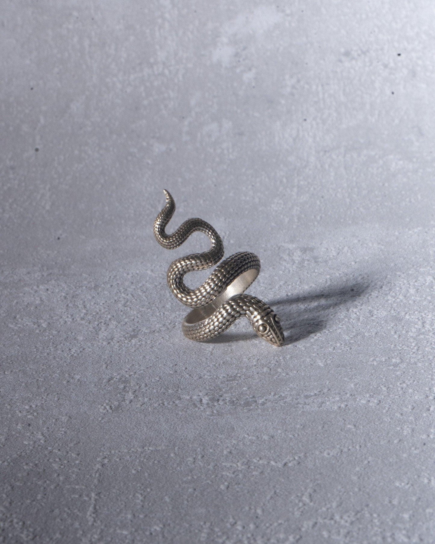 Großer Schlangenring aus Silber