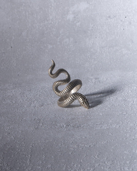 Großer Schlangenring aus Silber